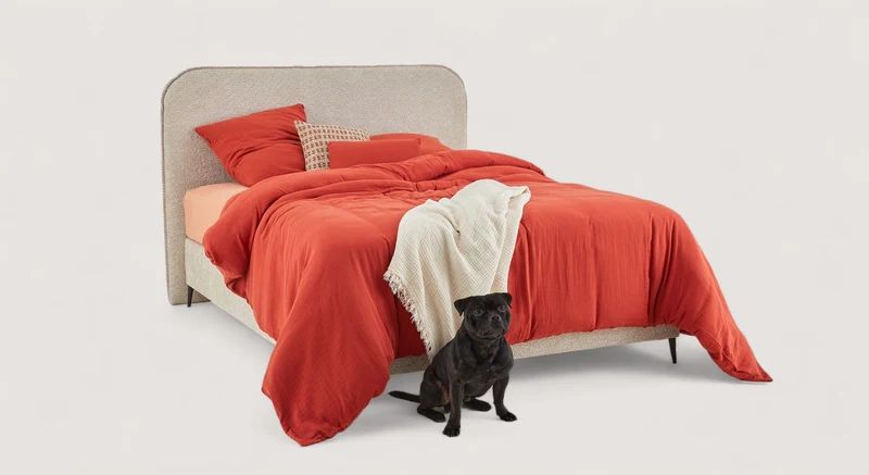 Lit coffre NAOMI Anthology Beige