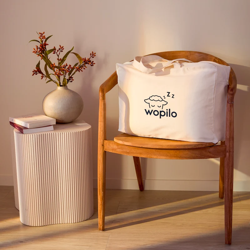 Le sac de transport oreiller