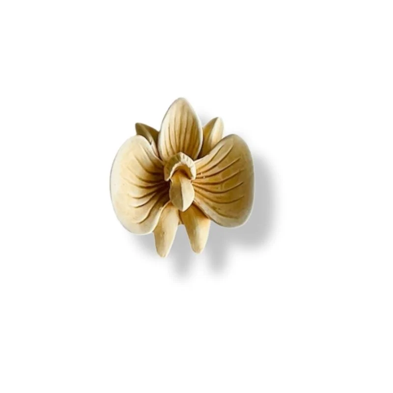 ORCHIDÉES