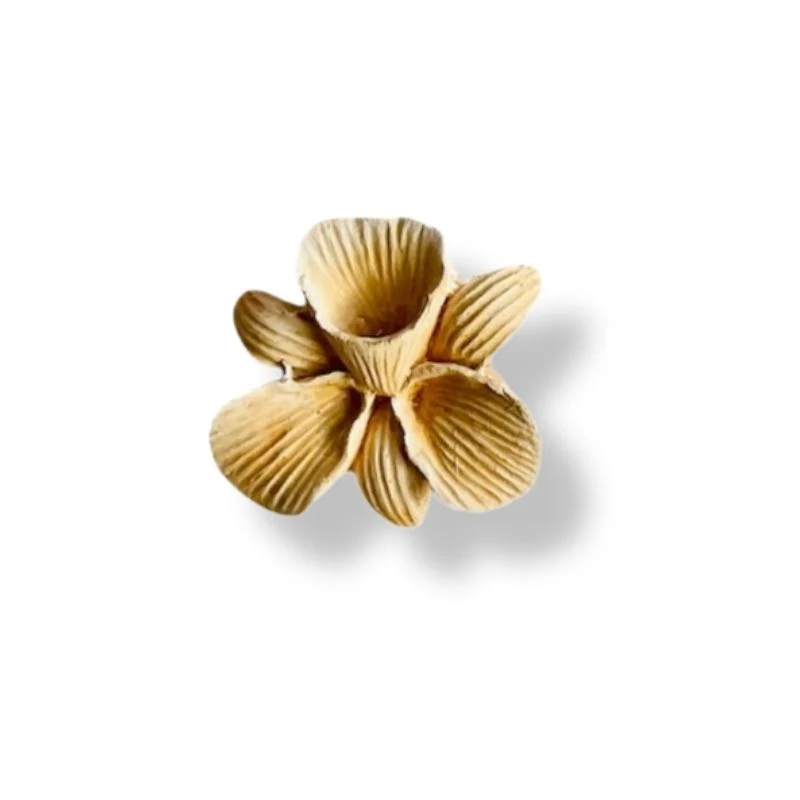 JONQUILLES