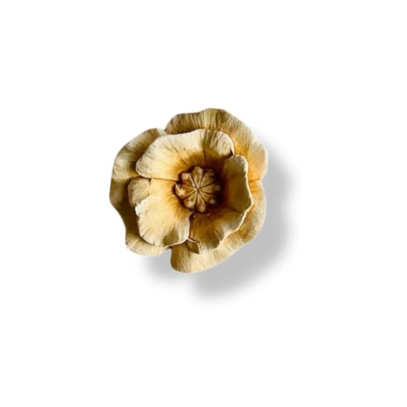 COQUELICOTS