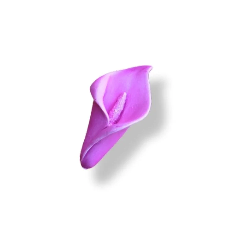ARUMS