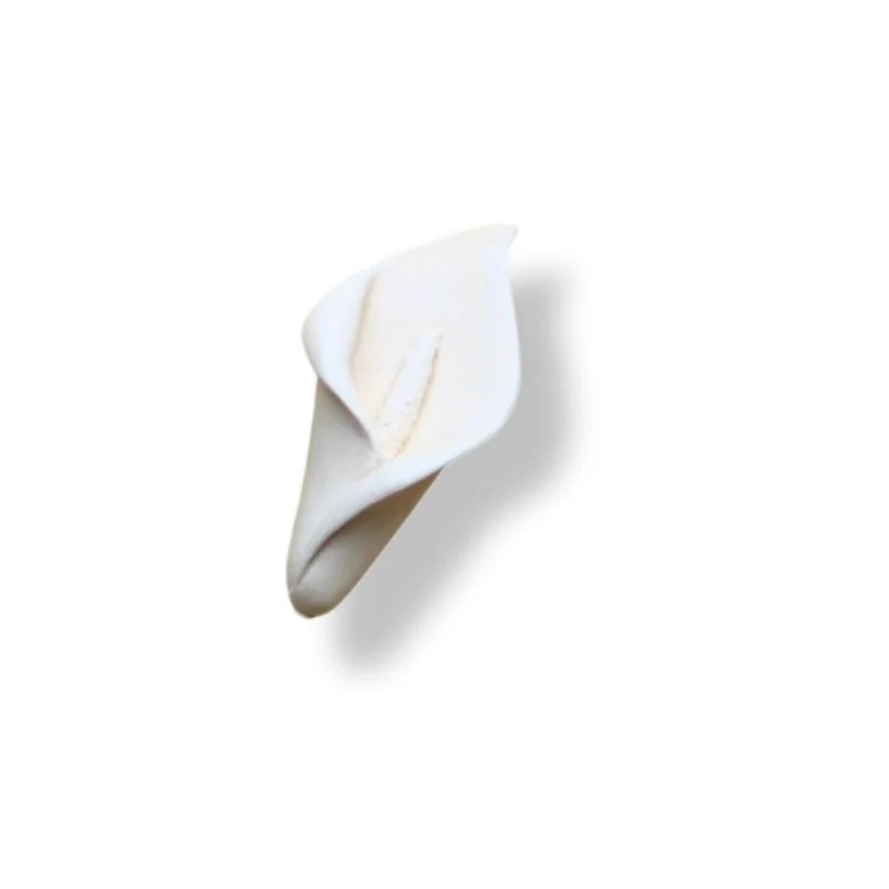 ARUMS