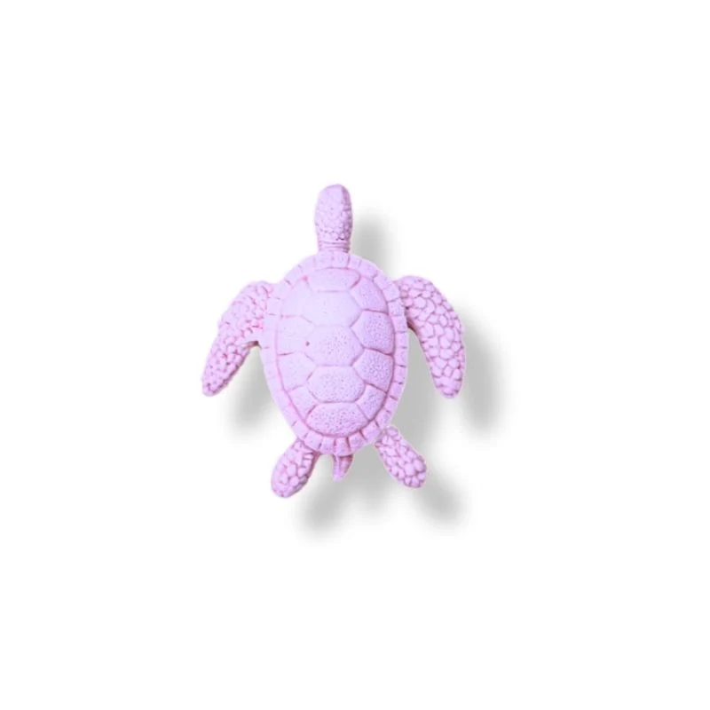TORTUES DE MER