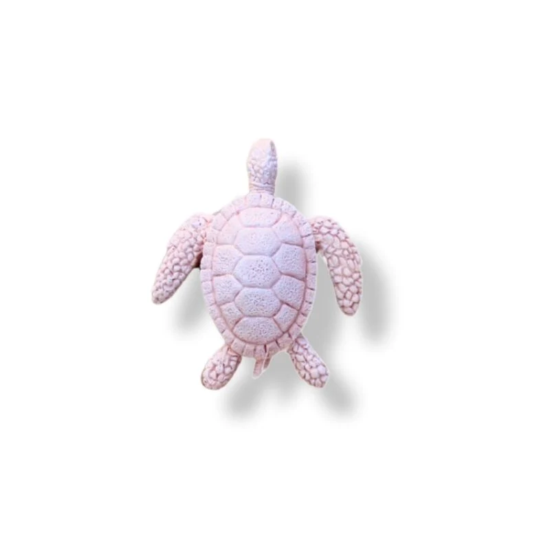 TORTUES DE MER