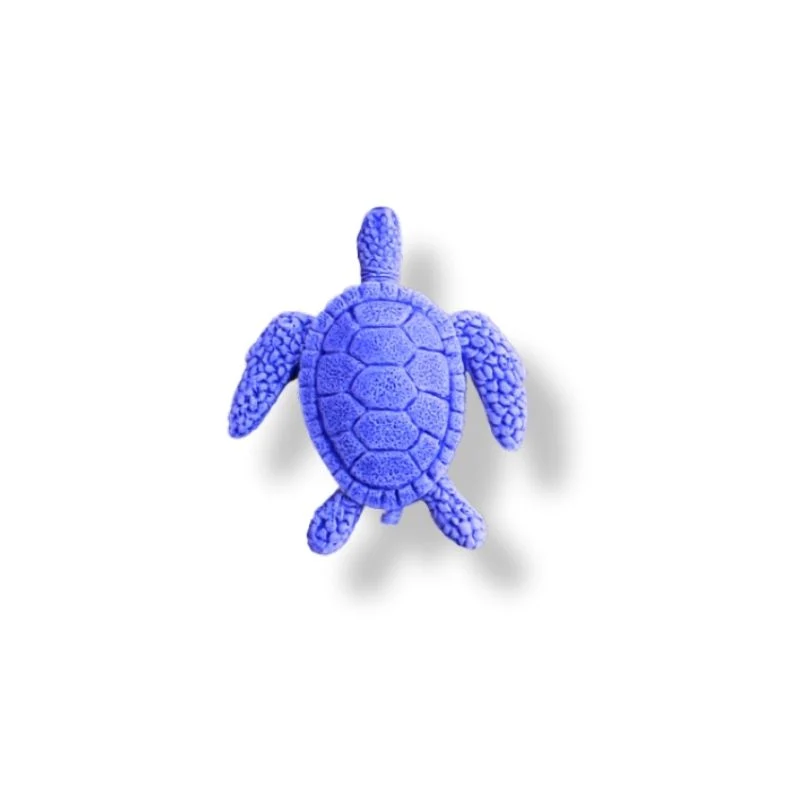 TORTUES DE MER