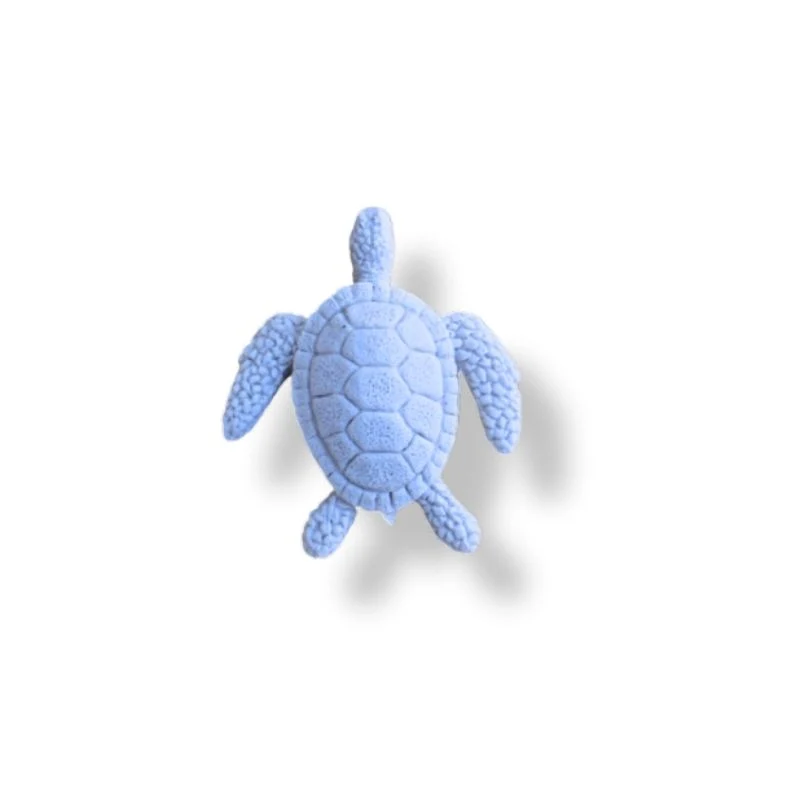 TORTUES DE MER
