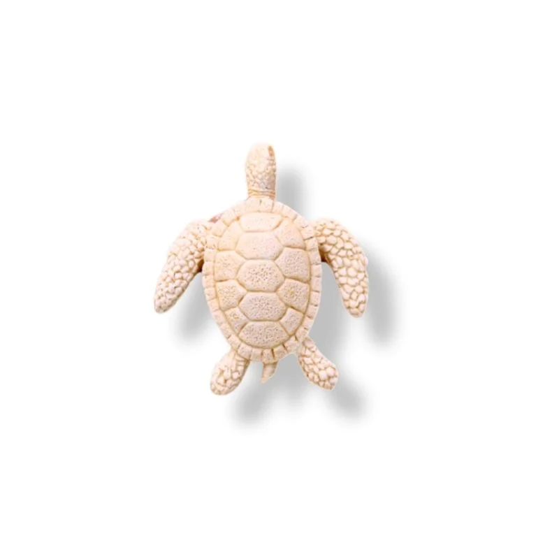 TORTUES DE MER
