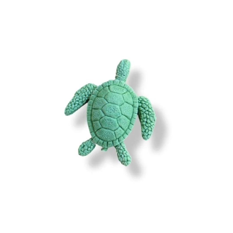 TORTUES DE MER