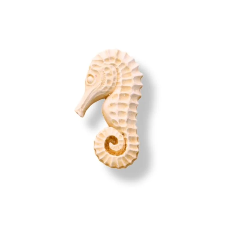 HIPPOCAMPES