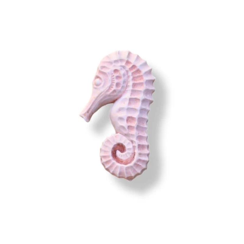 HIPPOCAMPES