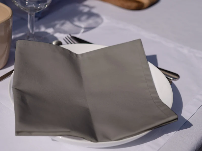 Serviettes de table Mensa Ecorce de noyer x2