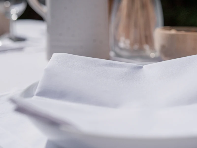 Serviettes de table Mensa Blanc x2