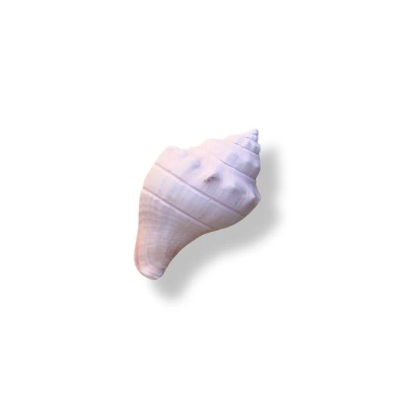 GALEAS