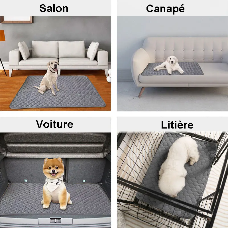 Tapis de protection imperméable, absorbant, antidérapant et anti griffes pour chiens et chats