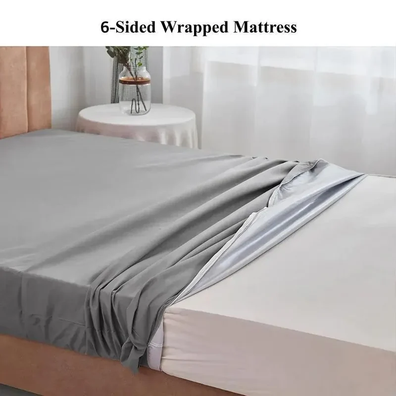 Housse Anti Punaise de Lit