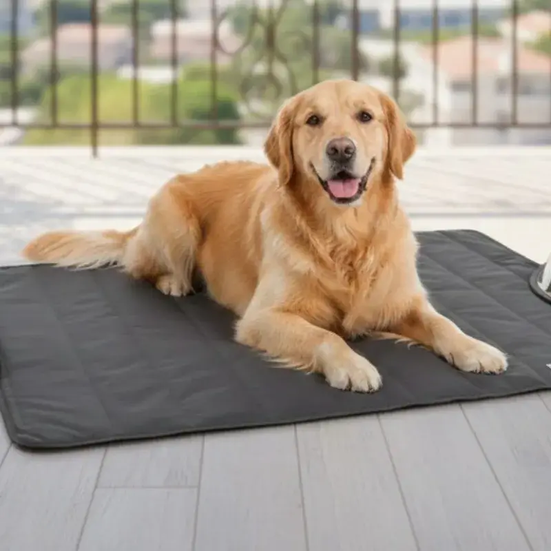 Couverture Chien Extérieur