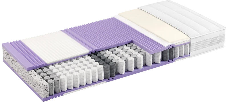 SwissSleep by riposa BODYFORM firm Matratze