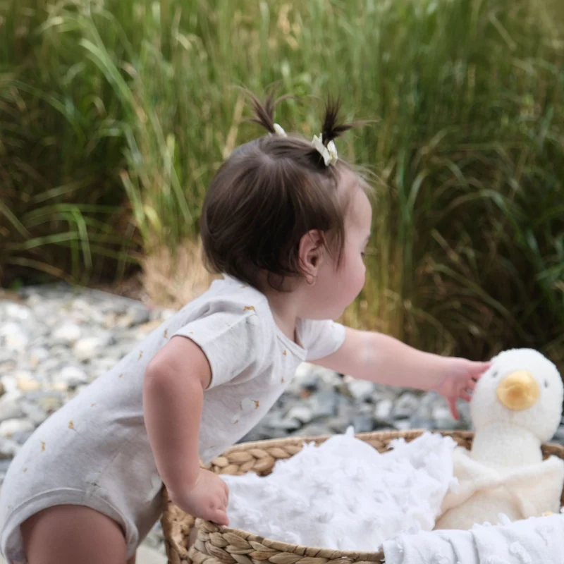 Couverture Et Peluche Canard