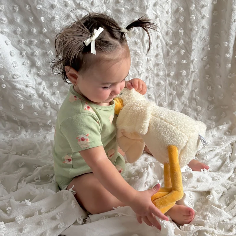 Couverture Et Peluche Canard