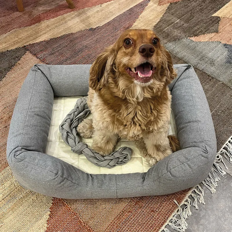Panier pour chien Hector