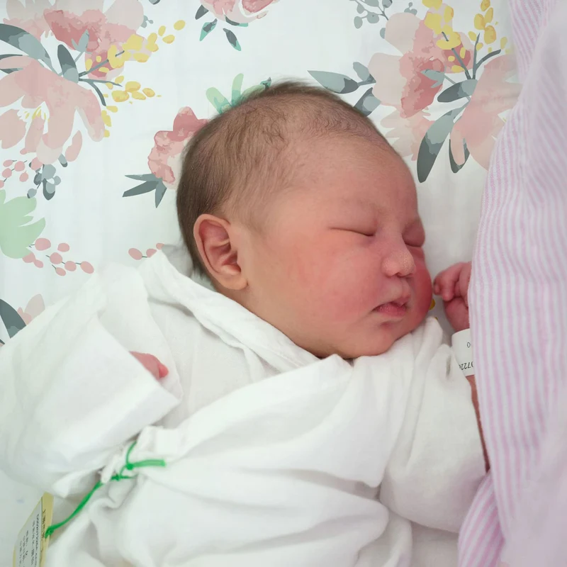 Drap Contour pour Lit de Bébé - Percale Fleurs