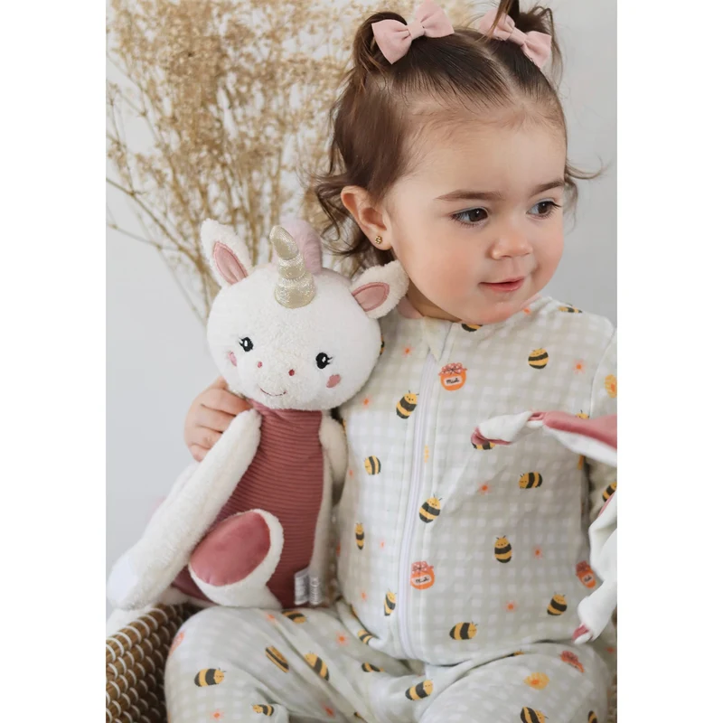 Couverture Licorne