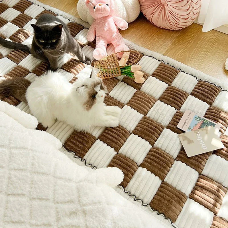 Protège Canapé Pour Chien Et Chat