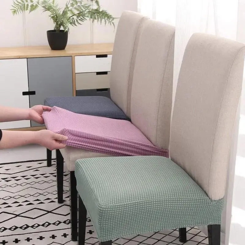 Housse de Chaise Assise Vert mousse