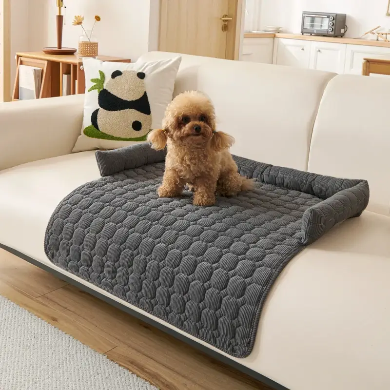 Couverture Imperméable Canapé Chien