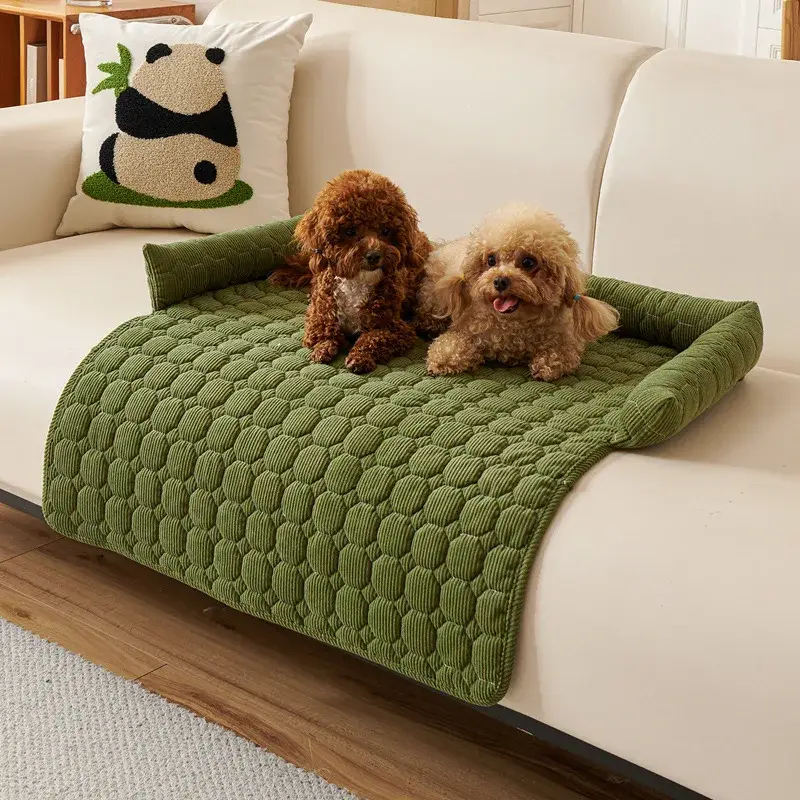 Couverture Imperméable Canapé Chien