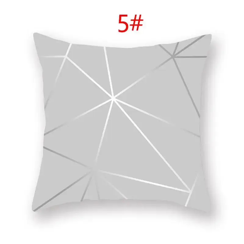 Coussin Décoratif Polyester ASCYRE