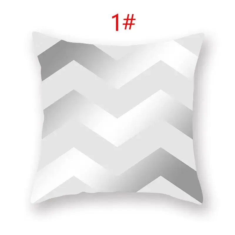 Coussin Décoratif Polyester ASCYRE