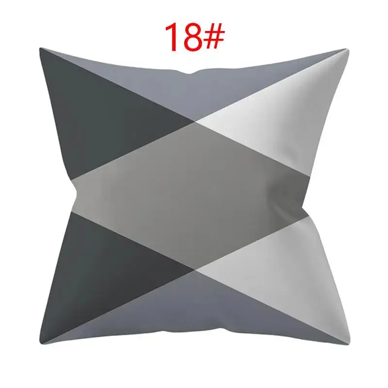 Coussin Décoratif Polyester ASCYRE