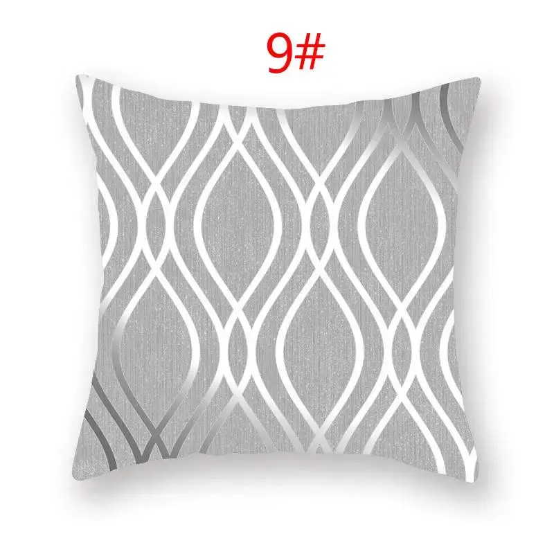 Coussin Décoratif Polyester ASCYRE