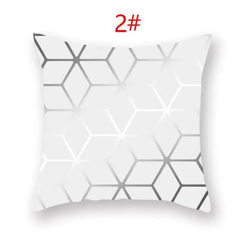 Coussin Décoratif Polyester ASCYRE