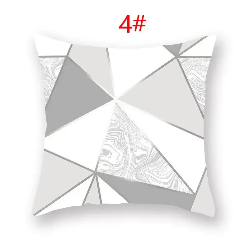 Coussin Décoratif Polyester ASCYRE