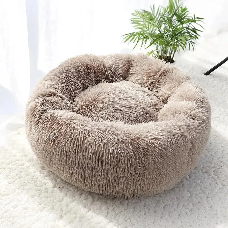 Coussin Ultra Doux Chien & Chat - Sweet Dreams