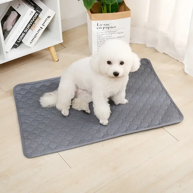 Couverture Absorbante pour Chien