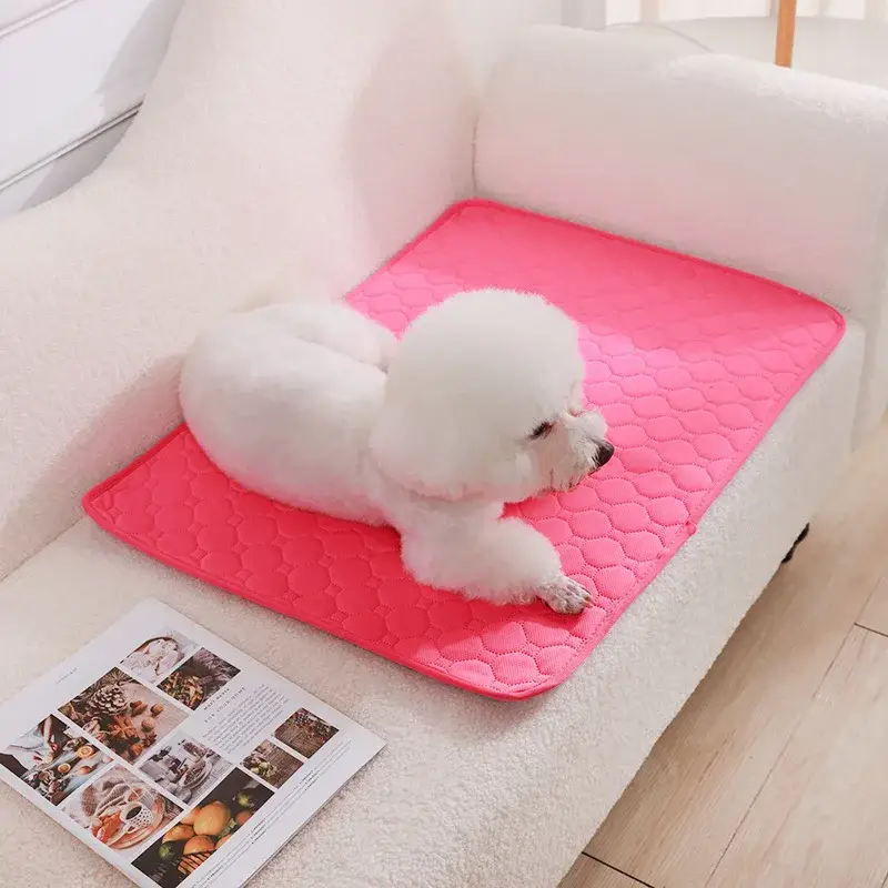 Couverture Absorbante pour Chien