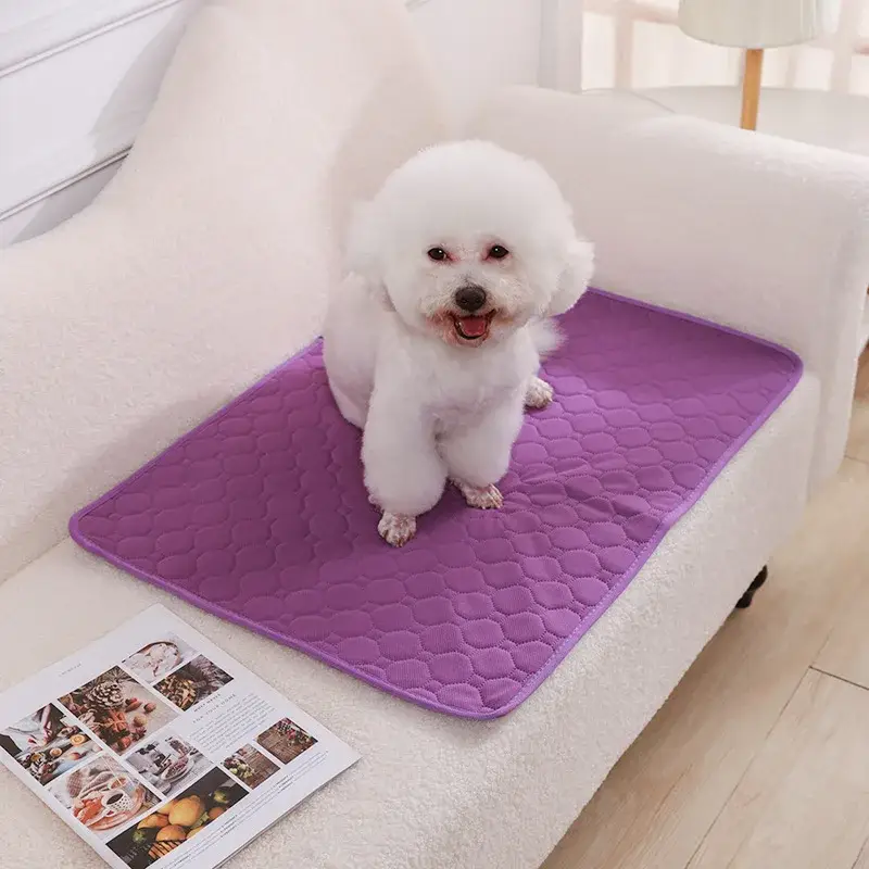 Couverture Absorbante pour Chien