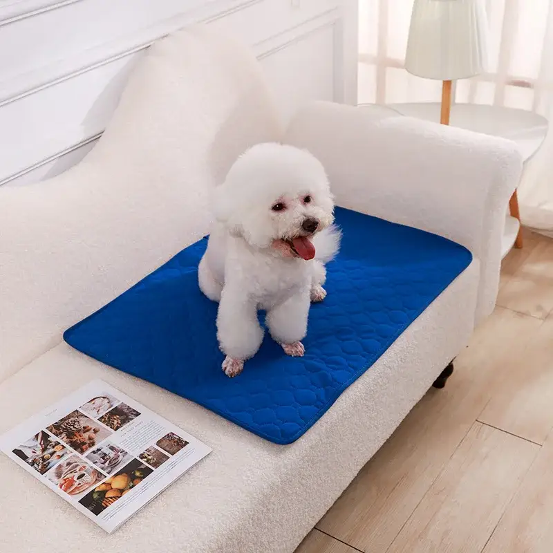 Couverture Absorbante pour Chien