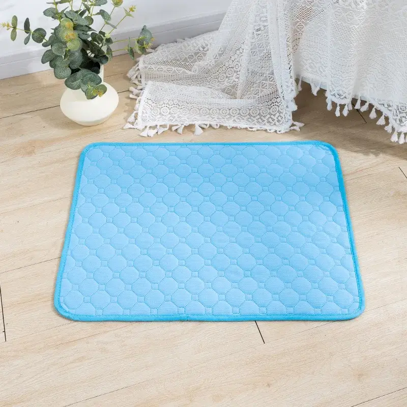 Couverture Absorbante pour Chien