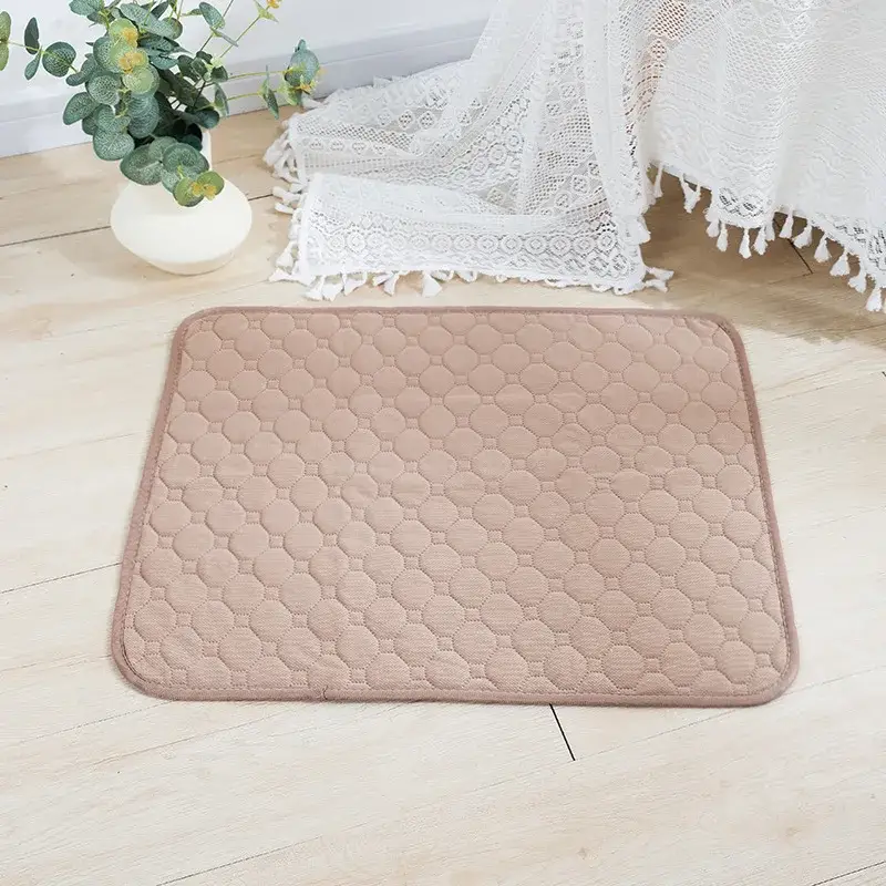 Couverture Absorbante pour Chien