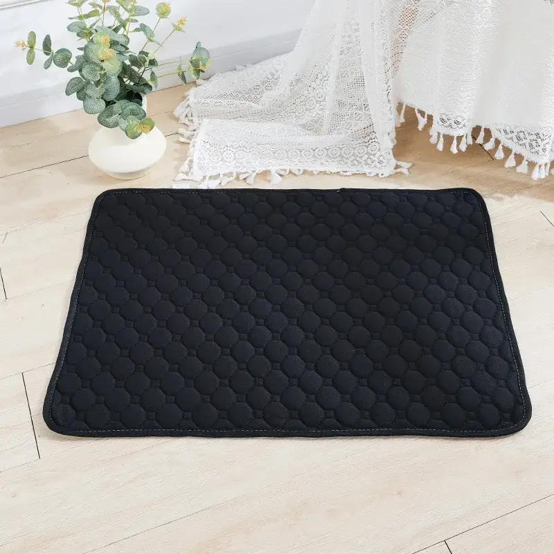 Couverture Absorbante pour Chien