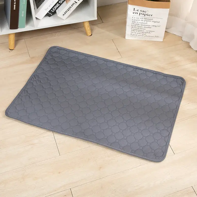 Couverture Absorbante pour Chien