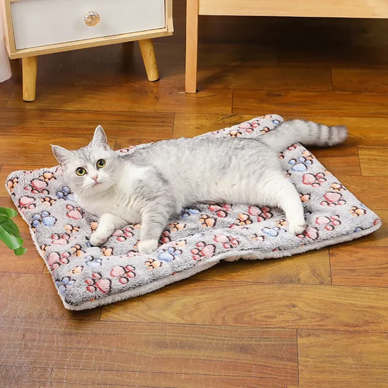 Couverture Chat
