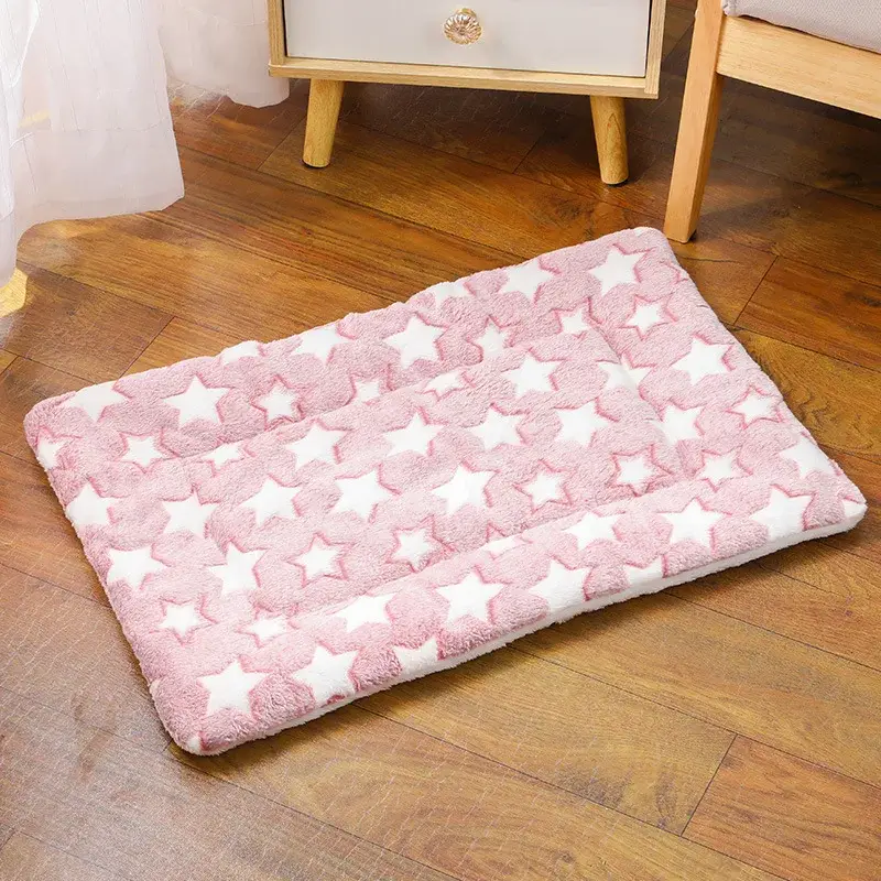 Couverture Chat