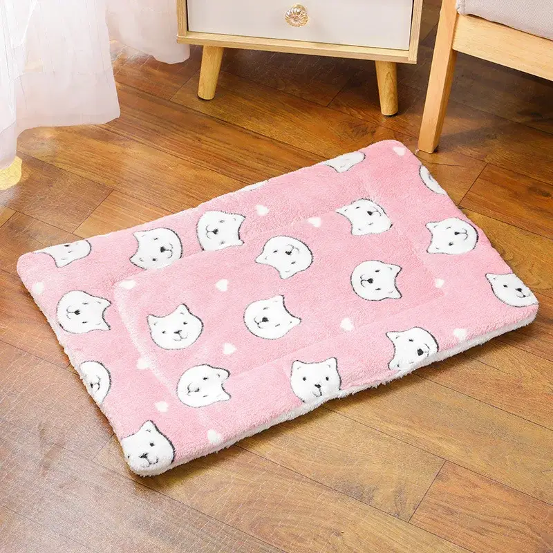 Couverture Chat