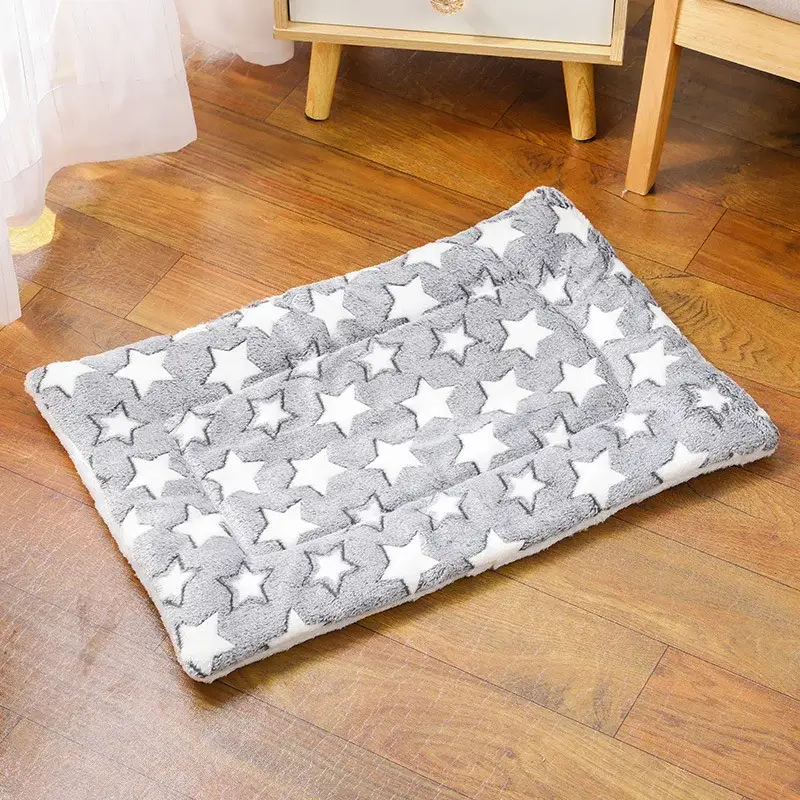 Couverture Chat